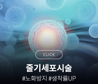 줄기세포시술